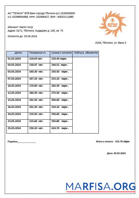Blank Georgia Telasi business utility bill template in Word and PDF formats, fully editable1